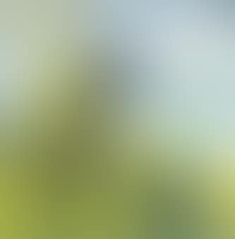 Paysage No 9 (preview)