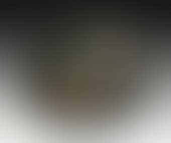 Nature morte (AR 219) (preview)