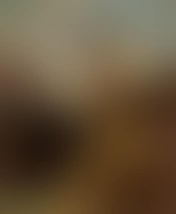 Ruinenlandschaft mit Sennerin (preview)