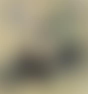 Die Dohle und die Pfauen (preview)