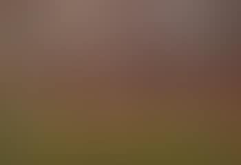 Landschaft im Sturm (preview)