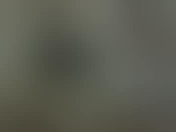 Landschaft (preview)
