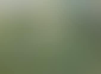 Dans la prairie (preview)