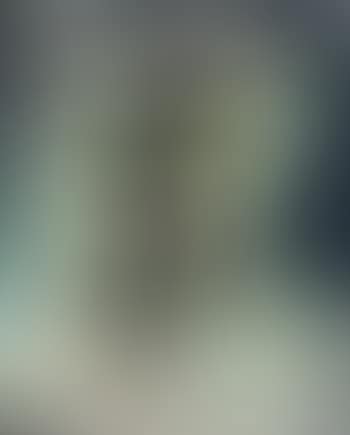 Pups mich voll, deine tante droll (preview)