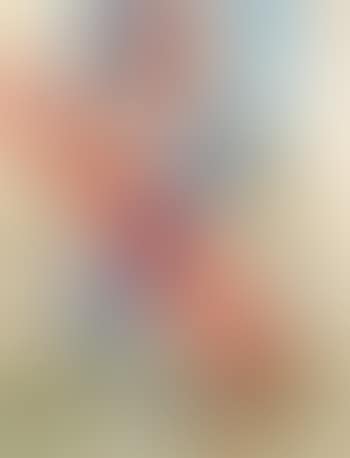 Bareus (preview)