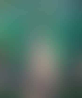 Gartentreppe mit bluhendem Flieder (preview)