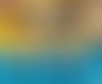 Abstract (preview)