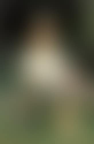 Petite fille mangeant des fraises (preview)