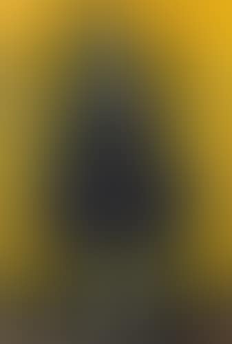 Clown fond jaune (preview)