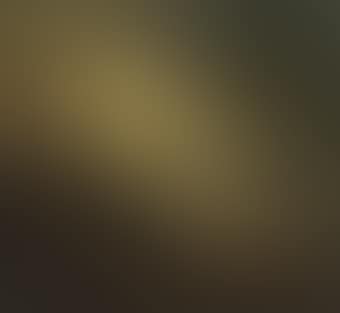 The Annunciation to the Shepherds (preview)