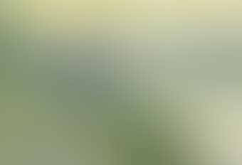 A moored wherry (preview)