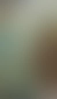 Distant View of Florence (preview)