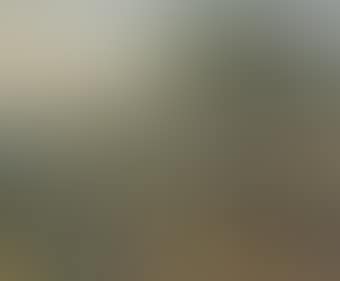 Paysage (preview)