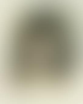 Carly Simon (preview)