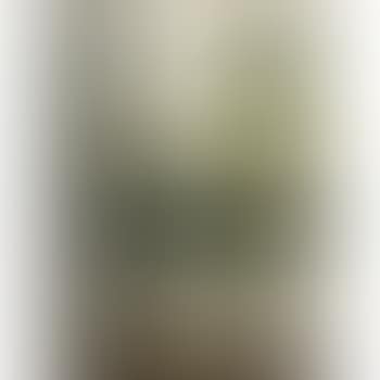 Landscape (preview)