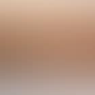 Landscape and night heron (preview)