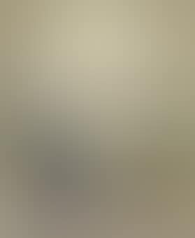 Lago con nebbia (preview)