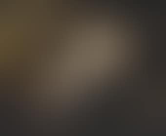 Venere e Adone (preview)