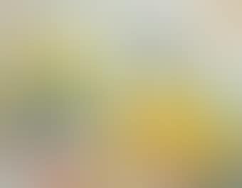 Femme a la robe jaunes (Woman with the yellow dress) (preview)