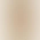Portrait of a Chinese dignitary (preview)