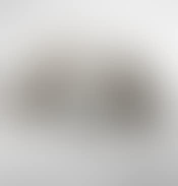 Untitled (Bush form) (preview)