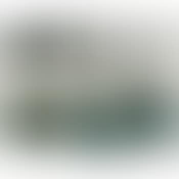Untitled (Camp Forestia) (preview)