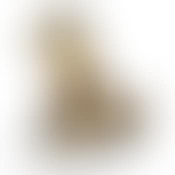 Untitled (Beer can penis) (preview)