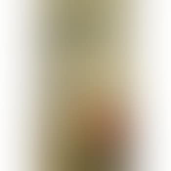 A vertical scroll painted with the Hehe Erxian (preview)