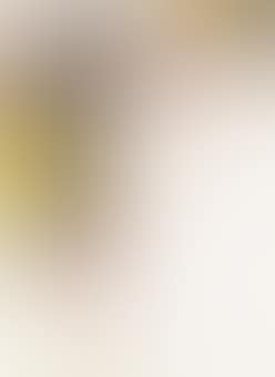 Yellowed (preview)