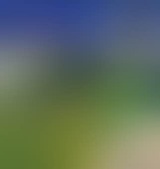 Landscape with Figure (preview)