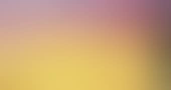 Black-Eyed Susan (preview)