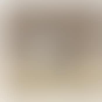 Natura Morta (preview)