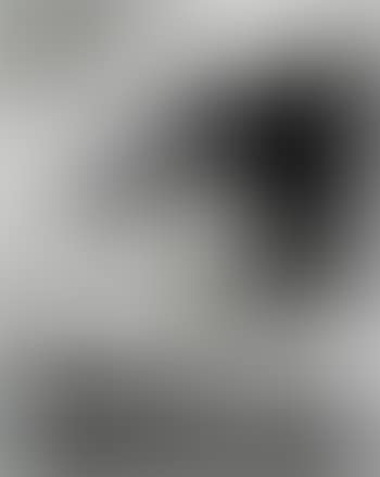 Study for dragon head (de la serie des vagues) (preview)
