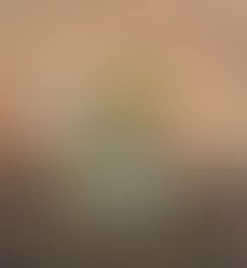 Vase de fleurs (preview)