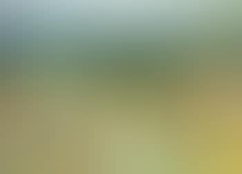 Paysage du sud (preview)