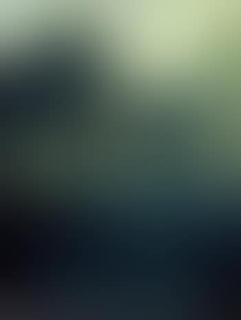 La Foret (preview)