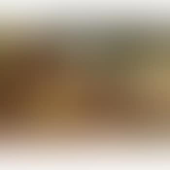 Paysage Aux Deux Paysages Et A La Barque (preview)
