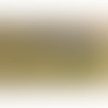 Landscape (preview)