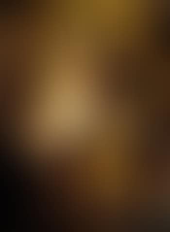 Nature morte: gamebirds and rabbit (preview)