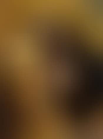 Nature morte: gamebirds (preview)