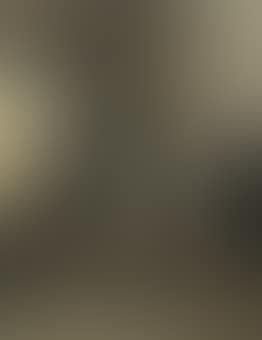 The messenger (preview)