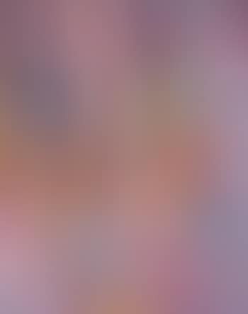 Composition (Etude de tapisserie) (preview)