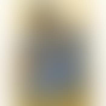 Woman Reading (preview)