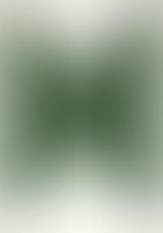 Colored Paper Image II (Dark Green Curve) (A. 142) (preview)