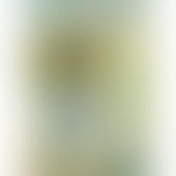 Composition (preview)