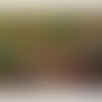Balinese Dancers (preview)