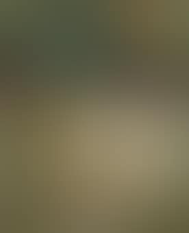 Spanish landscape (preview)
