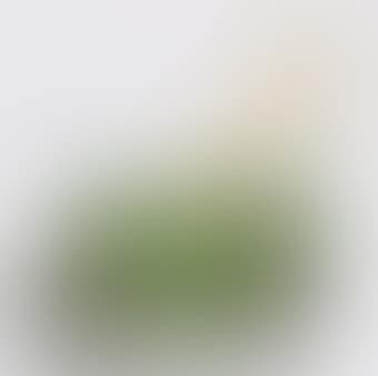 Bone Study (preview)
