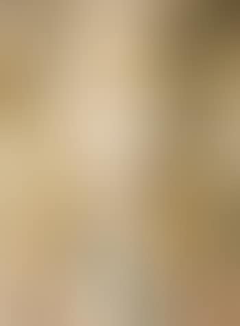 Jeune femme blonde sur fond de sculptures (preview)
