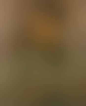 Portrait de Madame de Pogedaieff (preview)